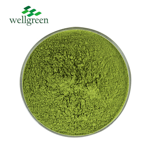 Extracto de té verde de alta calidad Solubilidad en agua de grado alimenticio Polvo de té verde Matcha - Product Image 3