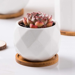 Macetas <span class=keywords><strong>de</strong></span> cerámica <span class=keywords><strong>de</strong></span> tamaño Mini con bandeja <span class=keywords><strong>de</strong></span> bambú, maceta blanca brillante para macetas <span class=keywords><strong>de</strong></span> <span class=keywords><strong>Cactus</strong></span> <span class=keywords><strong>suculentas</strong></span> con agujero, superventas - Product Image 4