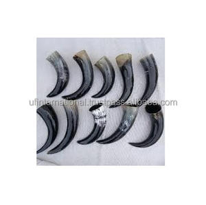 Corne à boire naturelle de meilleure qualité et polie avec corne à boire de toutes tailles et support en cuir à vendre - Product Image 6
