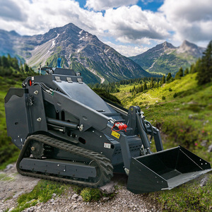 Minicargadora Compacta de Orugas Pequeñas con Motor de Operación Rápida para Maquinaria de Jardín - Product Image 5