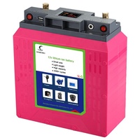 Công Suất Lớn Và Trọng Lượng Nhẹ 12V 100ah 80ah 50ah 45ah 40ah 35ah 30ah 22ah Pin Lithium Ion Năng Lượng Mặt Trời