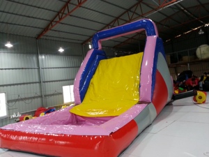 สไลเดอร์น้ำเป่าลม PVC สำหรับเช่าจัดงานปาร์ตี้กลางแจ้ง/ในร่มเชิงพาณิชย์ - Product Image 5