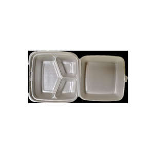 disposable lunch box