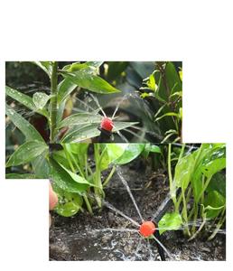 Buse de micro-pulvérisation <span class=keywords><strong>réglable</strong></span> <span class=keywords><strong>goutteur</strong></span> petit chaperon rouge arbre fruitier tuyau d'irrigation goutte à goutte outil d'arrosage et d'irrigation - Product Image 3