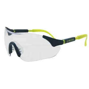 Occhiali protettivi per occhiali protettivi con lenti per PC con braccia laterali regolabili in lunghezza