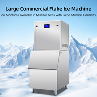 Machine à glaçons en flocons en acier inoxydable 300 kg/24h avec couvercle de protection, rendement élevé, faible consommation, silencieuse
