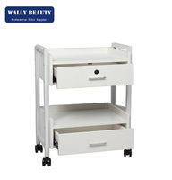 Chariot de spa professionnel, chariot de salon de beauté, chariot de rangement pour esthéticienne avec 2 tiroirs, étagère ouverte, serrure et roulettes