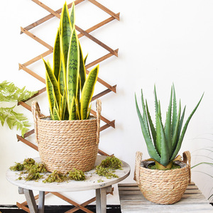 Straw Woven Flower <b>Basket</b> Handmade Desktop Plant Pot For Green Plants Living Room Decor Storage <b>Basket</b> - Product Image 5