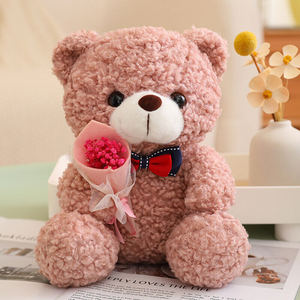 Oso de Peluche Kawaii, Ramo de Peluches, Juguete de Peluche, Animal de Peluche, Regalo Romántico para el Día de San Valentín, Oso de Peluche Colorido - Product Image 2