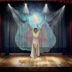 Alas de Ángel Transparentes Multicolores con Luces LED Unisex, Accesorio de Actuación <span class=keywords><strong>para</strong></span> Danza del Vientre y Otras Formas de Arte - Product Image 3