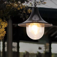 Lámpara colgante contemporánea para exteriores, LED impermeable, Villa, jardín, patio, puerta, pasillo, balcón, lámpara colgante