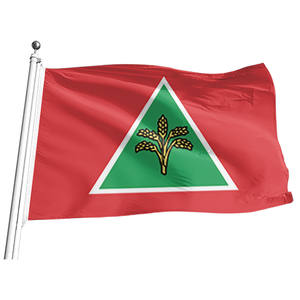 Фабричный дешевый изготовленный на заказ водонепроницаемый 3*5 футов 100% полиэстер уличный малазийский флаг движения за гражданские дела - Product Image 1