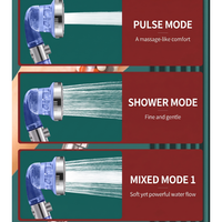 Pommeau de Douche Chromé Personnalisable Économe en Eau pour Salle de Bain, Robinet de Douche Domestique, Chauffe-Eau pour Bain et Soins de la Peau