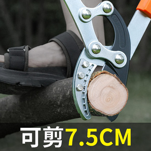 Pruning Shears Steel Blade 6 Inches Anvil Type Anti Slip Grip For Fruit <b>Trees</b> <b>Gardening</b> Landscaping - Product Image 4