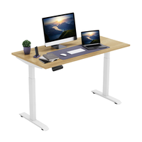 Bureau Moderne Électrique Réglable en Hauteur avec Moteur Unique et Cadre en Fer pour Bureau à Domicile
