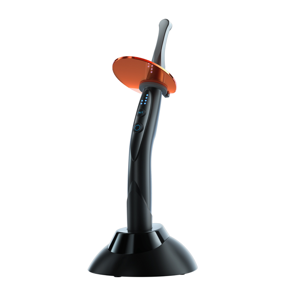 curing light woodpecker