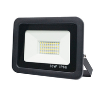 Projecteurs LED extérieurs en aluminium moulé sous pression 24V DC 30W IP66 avec certification CE EMC