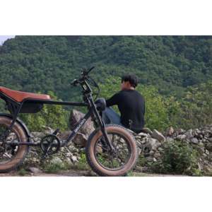 Gran Descuento de Black Friday, Bicicleta Eléctrica E3 con Llantas Gruesas, Motor de 750W, Batería de 48V/54V, 7 Velocidades, Alcance de 70-110KM, Capacidad de Subida de 30 Grados - Product Image 5