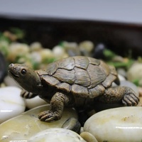 2024 nouveaux produits tortue de mer sculpture à vendre résine tortue décoration figurine souvenir résine artisanat matériaux