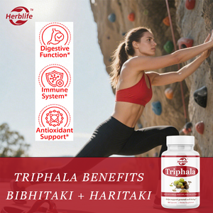 OEM ODM สารสกัดจาก triphala 1000มก.-อาหารเสริมสมุนไพรพร้อม Amla, bibhitaki, haritaki, การย่อยและลำไส้ใหญ่, การสนับสนุนภูมิคุ้มกัน - Product Image 2
