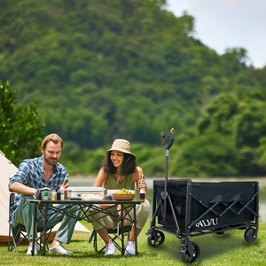 รถเข็นไฟฟ้าพับได้แบบกำหนดเอง รับน้ำหนักได้ 100 กก. ควบคุมผ่านแอพ ได้รับการรับรองมาตรฐาน CE FCC รถเข็นพับได้สำหรับการตั้งแคมป์และการขนส่ง - Product Image 2