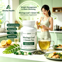Capsules d'extrait de feuilles de Moringa à marque privée, soutien naturel digestif et immunitaire, formule personnalisée OEM ODM, flacon pour adultes, 24 mois