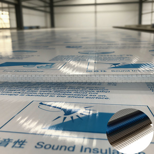 Plaque de toiture en polycarbonate alvéolaire double paroi et triple paroi 8mm 10mm 12mm 14mm 16mm avec protection UV, écologique et durable - Product Image 4