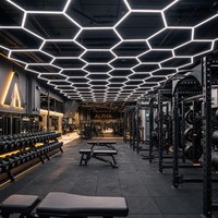 Lampe LED en grille nid d'abeille pour centre de fitness, esthétique moderne d'intérieur de salle de sport, idéale pour studio d'entraînement