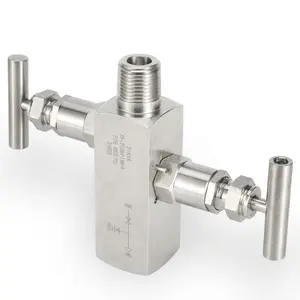 1/2"NPT Female and Male 6000 PSI PTFE Block and Bleed Pressure gauge Valve 2 valve Instrumentation Two Valve Manifold