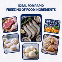 Congélateur rapide commercial certifié CE à dégivrage automatique -35°C ℃   à -80 ℃   260L pour usine de transformation de crevettes et usine de fabrication de tourtes à la viande