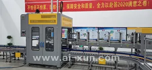 Top-loading Case Packing Machine Good Quality