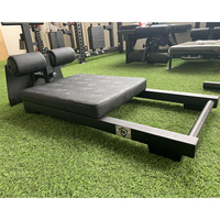 Banc de musculation multifonction Nordic Curl pour fitness, noir, pour entraînement des fessiers, des ischio-jambiers et des hanches, chaise romaine de musculation