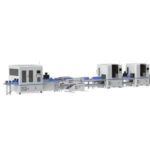 자동 리튬 이온 Lifepo4 셀 생산 배터리 팩 조립 기계 라인 제작 장비 모듈 제조 전력