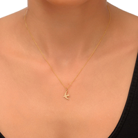 Collier pendentif avion minimaliste plaqué or 18 carats Bijoux d'éventail de style militaire Collier d'avion polonais en acier inoxydable