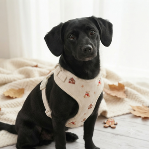 Ensemble de harnais pour chien personnalisé automne-hiver, collier et laisse pour animaux de compagnie, design tendance, gilet doux pour chien, accessoires personnalisé<span class=keywords><strong>s</strong></span> pour chiots - Product Image 2
