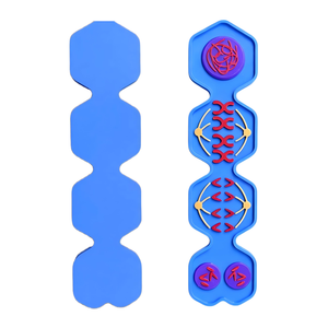 Modèle de méiose, chromosomie, prolifération cellulaire, aide pédagogique, démonstration scientifique en biologie - Product Image 2