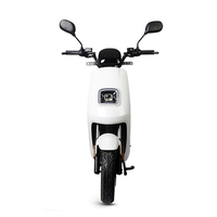 Scooter électrique à batterie au lithium 48V 1000w avec certification EEC, moto électrique