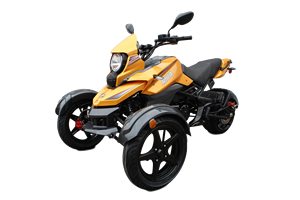 Moto et tricycle à carrosserie ouverte à trois roues motorisés automatiques certifiés EPA pour l'usage des passagers - Product Image 4