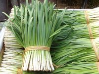 Autres équipements agricoles : Récolteuse de poireaux verts, d'ail chinois, coupe-céleri, machine à récolter les ciboulettes