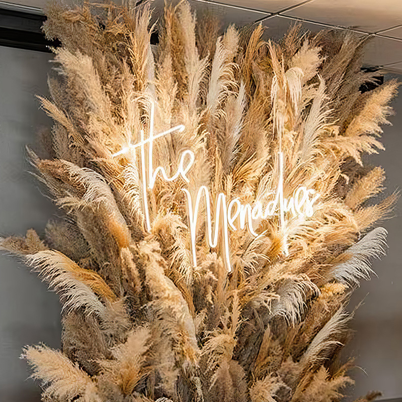 Новый дизайн, неоновый акриловый знак на заказ, светодиодный гибкий неоновый Световой знак для украшения гостиной