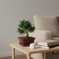Ensemble de pots à bonsaï en céramique vintage moderne, petit modèle, glaçure bleue, durable, biodégradable, pour usage intérieur et extérieur