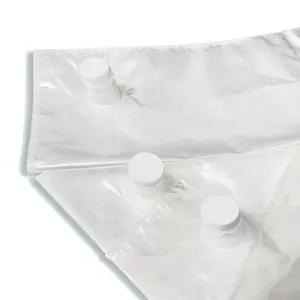 Golden Supplier Zeadn Wholesale Price Liquid Plastic Pouch Transparent PP FIBC Spout BIB Bag In A Box With Aseptic Valve