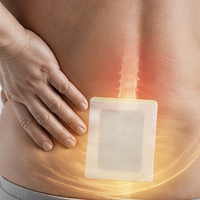 Patch chauffant à base de plantes pour soulager les douleurs au genou et aux lombaires chez les personnes âgées, arthrite, physiothérapie, pansement médical adhésif, classe I, certifié CE