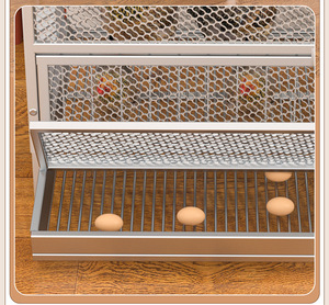 Jaula para Gallinas <span class=keywords><strong>de</strong></span> Uso Doméstico con Sistema Automático <span class=keywords><strong>de</strong></span> Desplazamiento <span class=keywords><strong>de</strong></span> Huevos, <span class=keywords><strong>de</strong></span> Alambre Galvanizado, con Cajón Recolector <span class=keywords><strong>de</strong></span> Huevos - Product Image 6