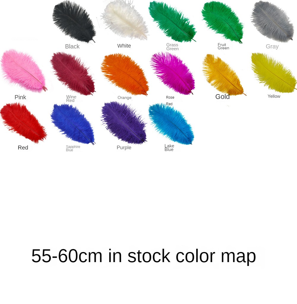Tige fine de 55 à 60 cm
