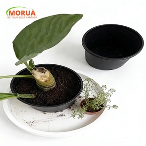 Macetas de Plástico Negras Resistentes a la Intemperie y Ecológicas <span class=keywords><strong>para</strong></span> Jardín, Uso en Exteriores, Rosas, Vegetales/Macetas - Product Image 5
