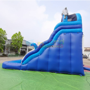 Château gonflable aquatique pour enfants à deux voies avec toboggan aquatique gonflable en forme de dauphin et piscine - Product Image 3