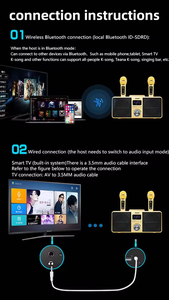 Bán Như Hot Bánh Sd309 Tùy Chỉnh 2023 Chất Lượng Cao Sub Woofer Máy Tính Để Bàn Bt Với Không Dây Microphone SDCD Loa Karaoke - Product Image 4