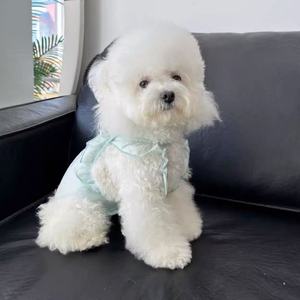 Bluetimi Culotte menstruelle pour chien rose en polyester, protection contre les fuites pour animaux de compagnie, quatre saisons - Product Image 3