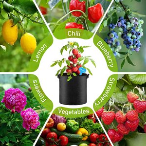 Sacs <span class=keywords><strong>de</strong></span> culture en tissu non tissé sur mesure pour jardin, pommes <span class=keywords><strong>de</strong></span> terre, pépinière, fraises – Fournisseur direct usine - Product Image 1
